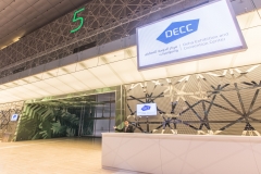 DECCCA10